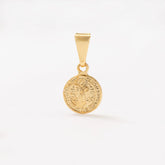 D San Benito Red Pequeño