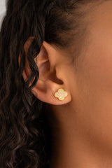 A Clover Circonia 1.1 Cms